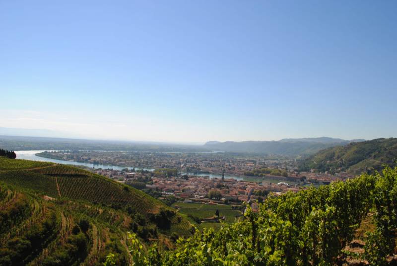 Balade oenologique dans la Vallée du Rhône et sa région