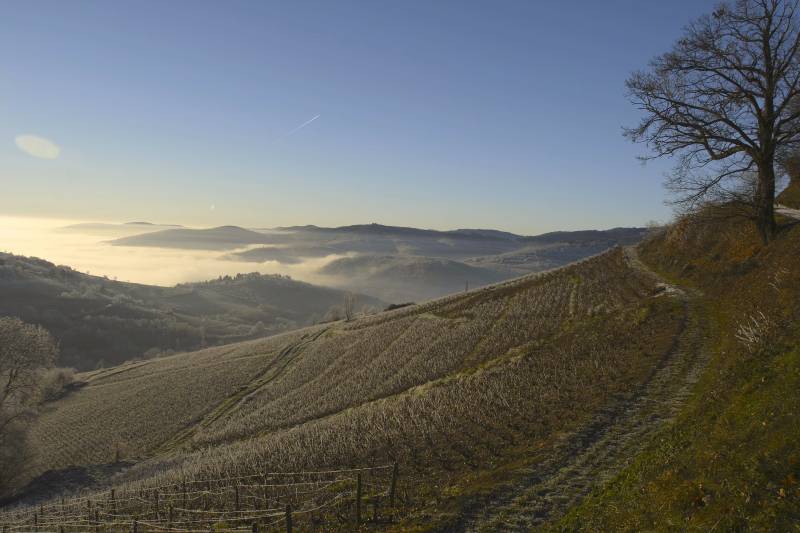 Séjour CE ou séjour incentive au coeur des vignes de la Bourgogne proche de Lyon