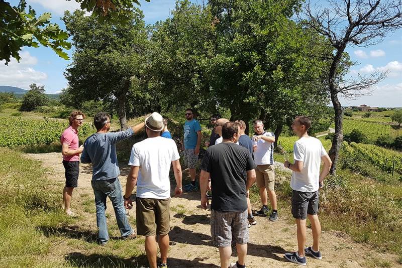 Circuit oenotouristique accompagné dans la Vallée du Rhône (demi-journée ou journée)