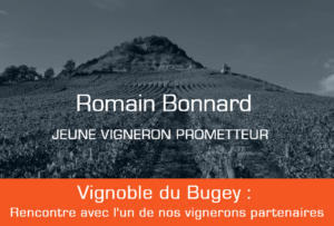 Rencontre avec Romain Bonnard vigneron de Buget