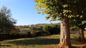 Séminaire au vert proche de Lyon, privatisation d'un domaine viticole