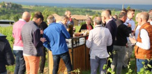 Les vignobles pour une journée de séminaire au vert proche de Lyon