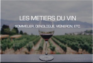 verre de vin devant vignes